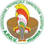 Logo apov vicenza